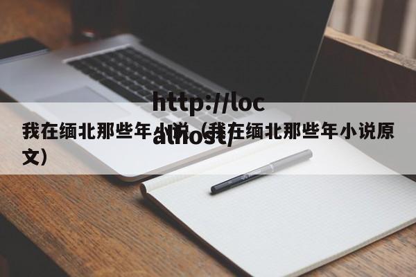 我在缅北那些年小说（我在缅北那些年小说原文）